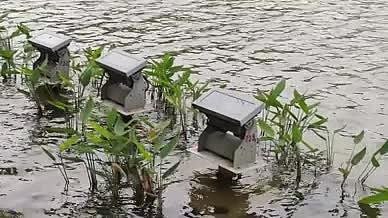 旅行拍摄实拍湖水水流视频的预览图